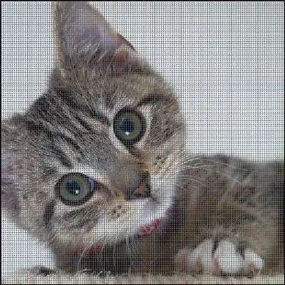 gatito con letras
